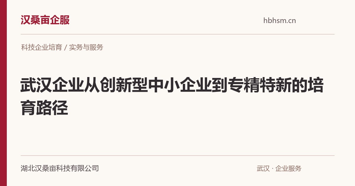 武汉企业从创新型中小企业到专精特新的培育路径｜汉桑亩企服