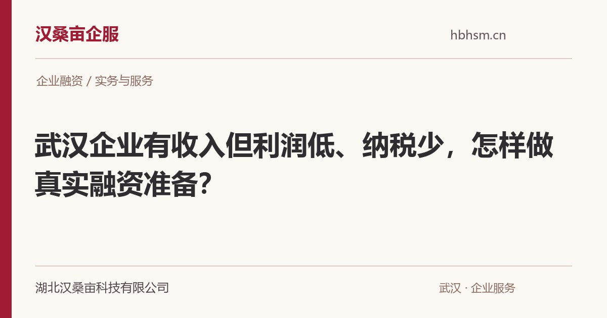 武汉企业有收入但利润低、纳税少,怎样做真实融资准备?|汉桑亩企服